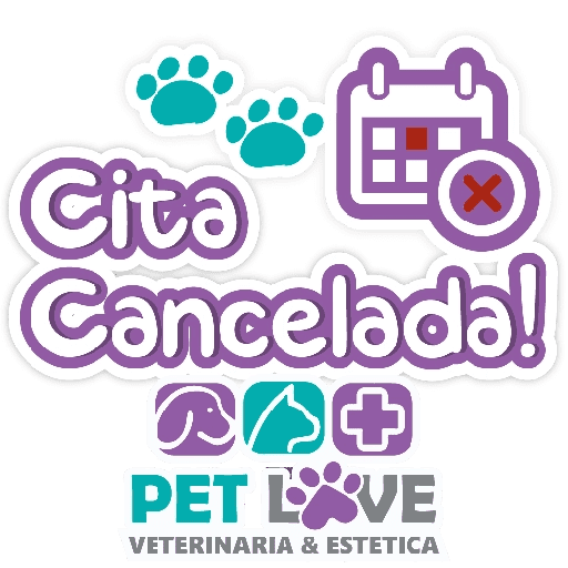 PET LOVE FRASES 5