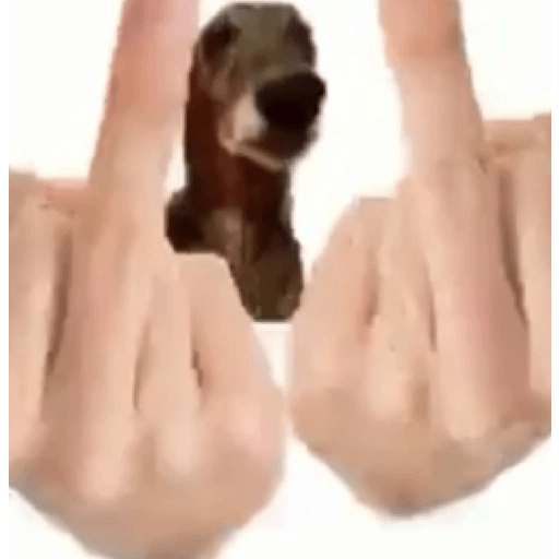 Lol 14