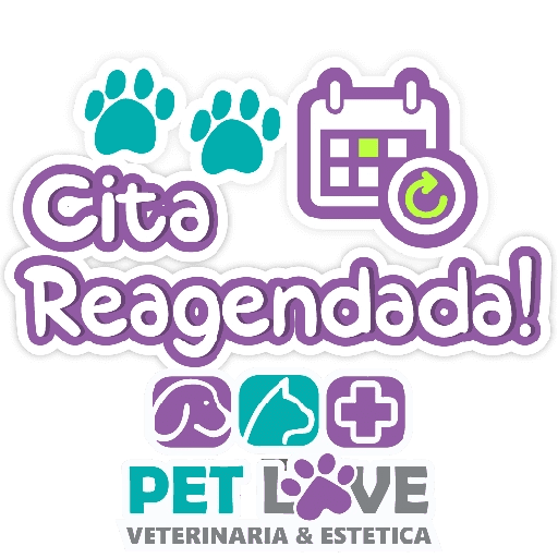 PET LOVE FRASES 6
