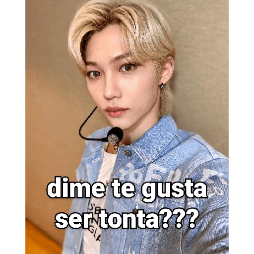 Straykids 4