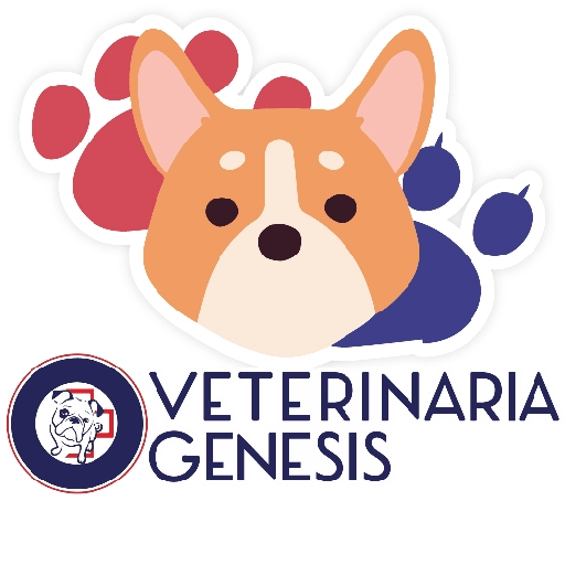 Vet Génesis emojis  3