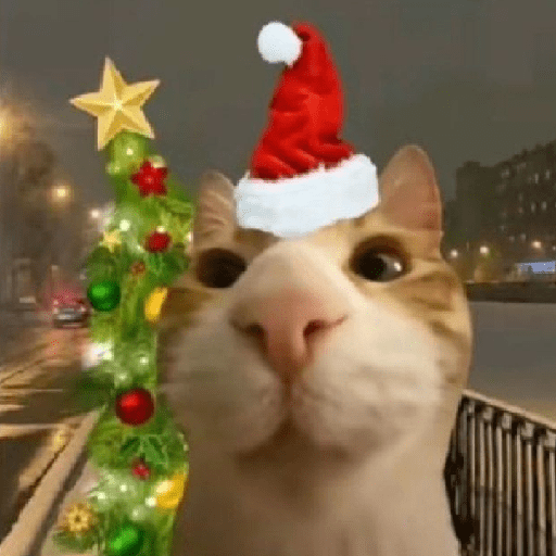 Natal & gatinhos ♥️ 3