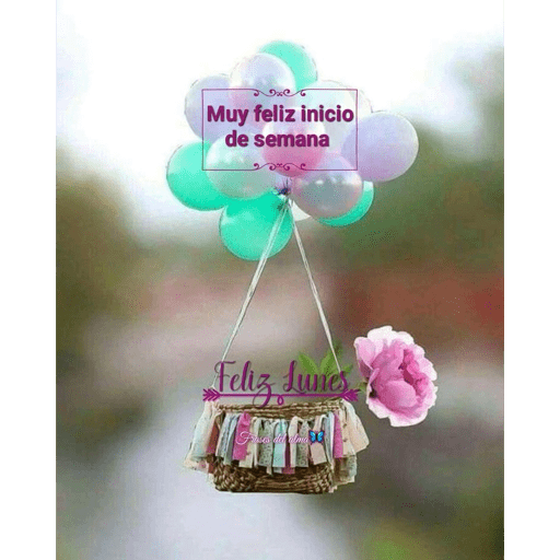 Lunes 16