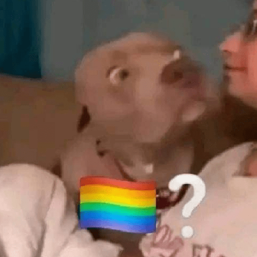 Meme  8