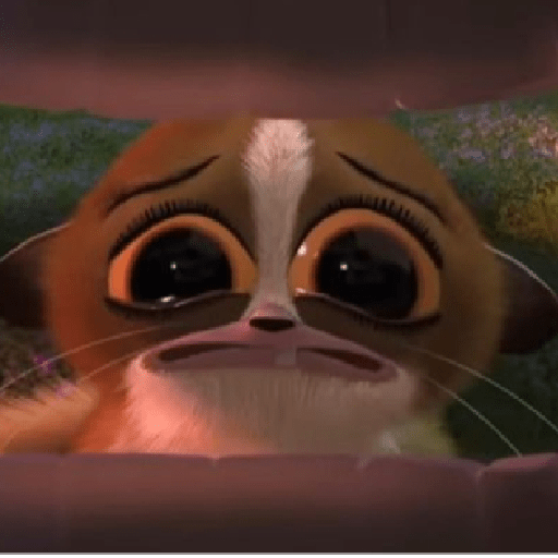 🐧Madagascar 🐧 9