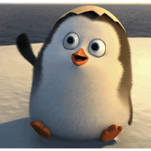🐧Madagascar 🐧 13