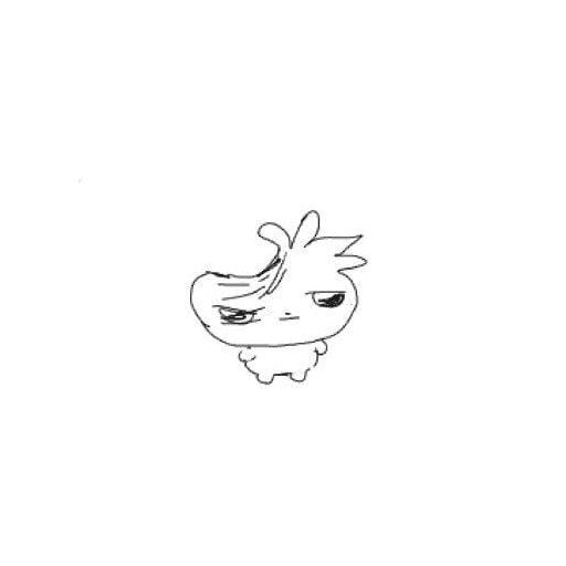 Random 🦝 11