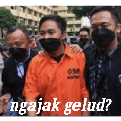 Meme 9