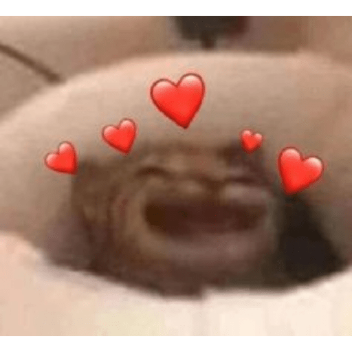 Gatos de amor  25