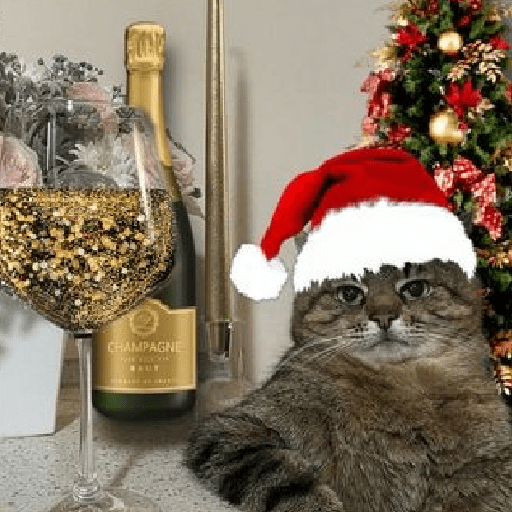 Natal & gatinhos ♥️ 7