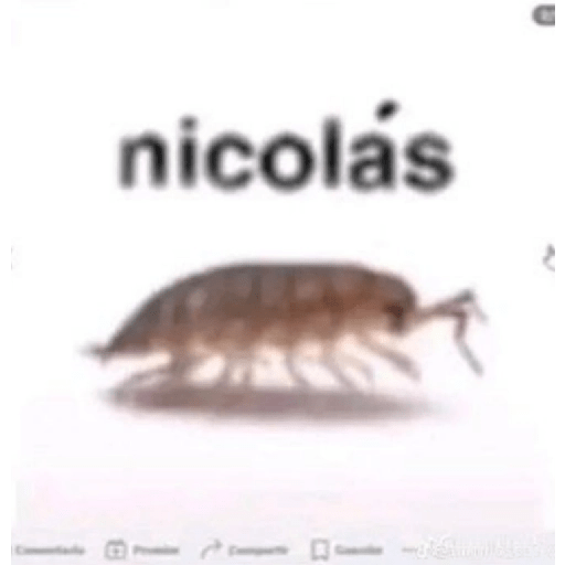 Tik tok memes 19