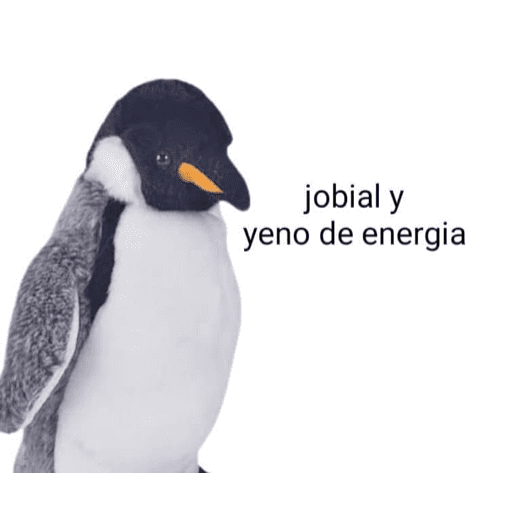 Xddddd 1