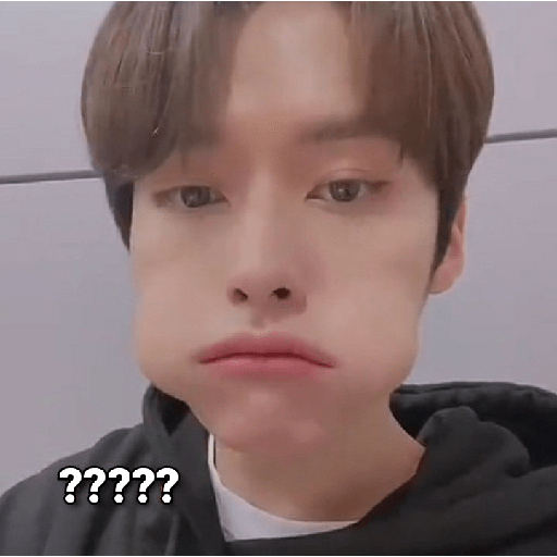 Straykids 8