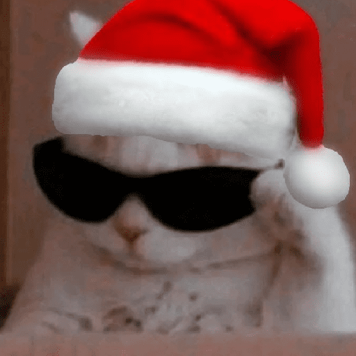 Natal & gatinhos ♥️ 17