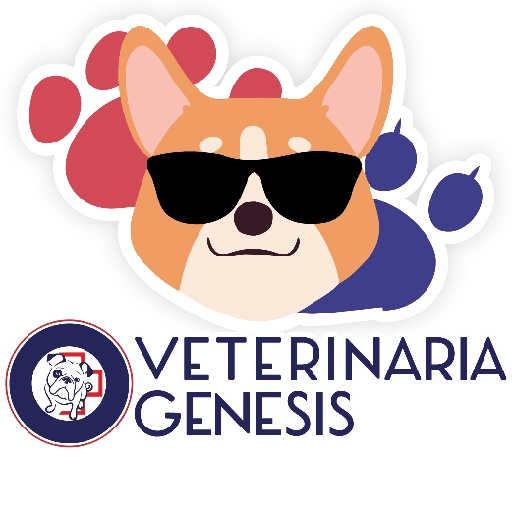 Vet Génesis emojis  15