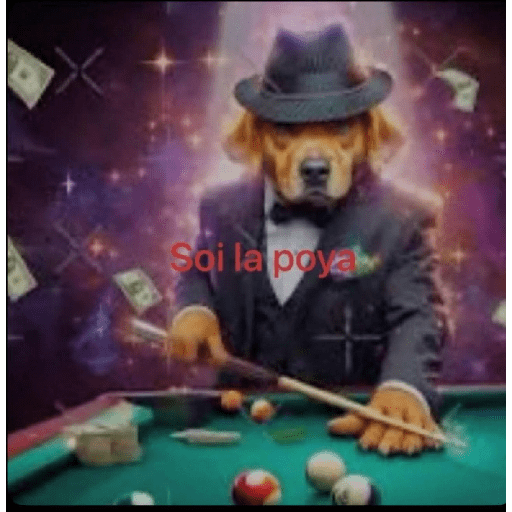 Randomyo22 29