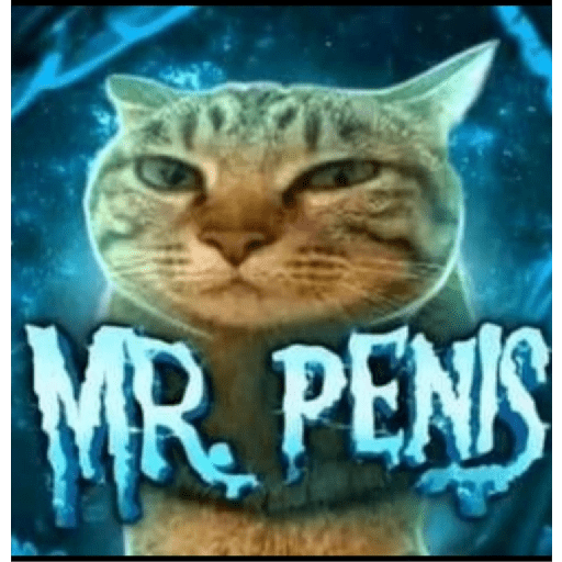Tik tok memes 18