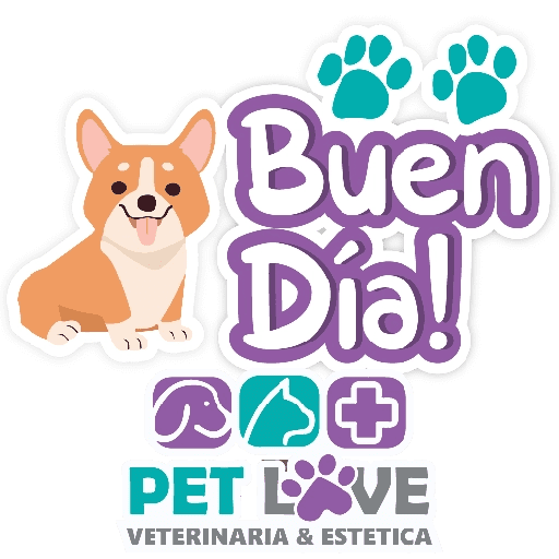 PET LOVE FRASES 12