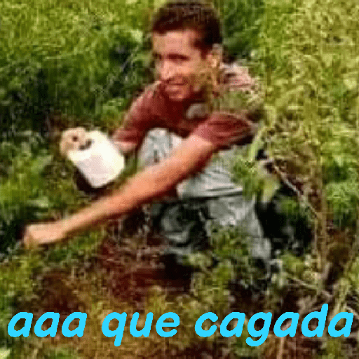 Más ➕ 22