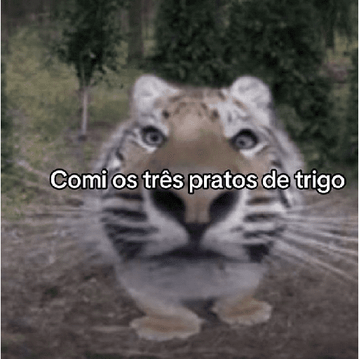 Tigre 3