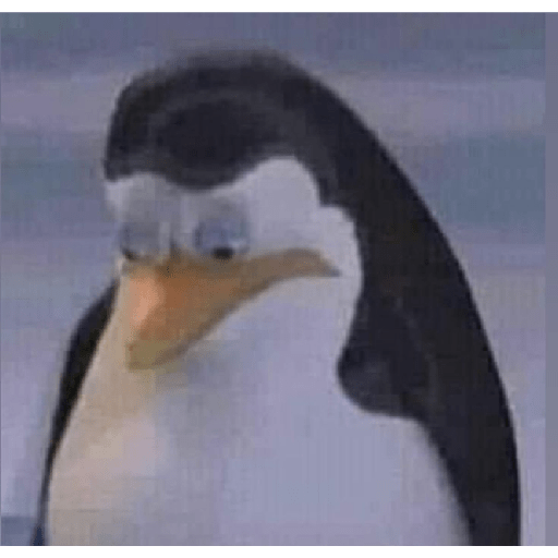 🐧Madagascar 🐧 12