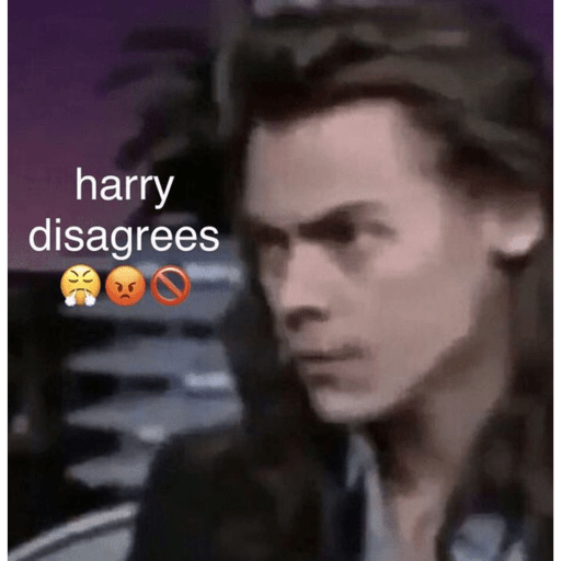 Harry styles 13