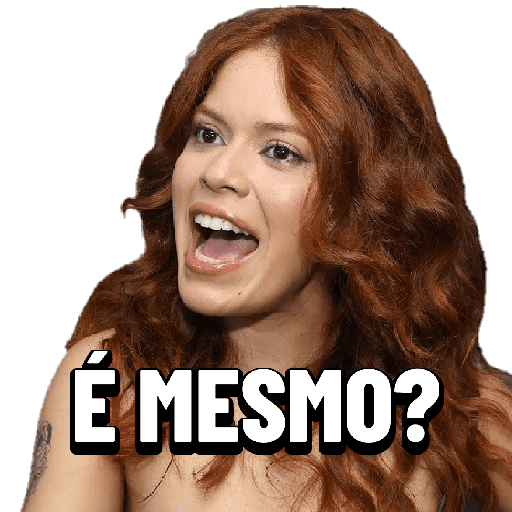 Festa PX 1