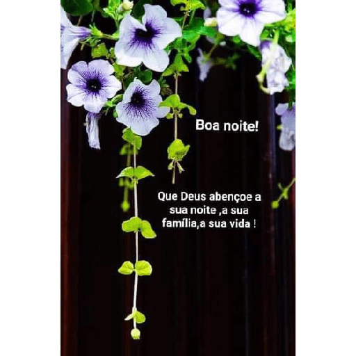 Boa noite 39 4