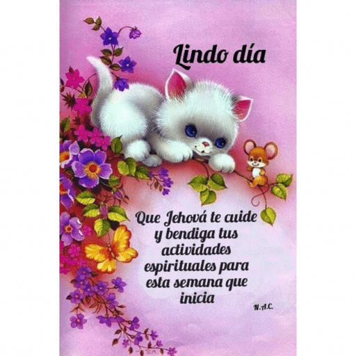 Lunes 17