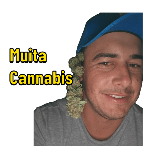 Kkkkkkkk 4