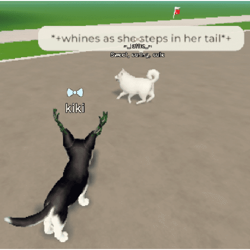 Random things idk 24