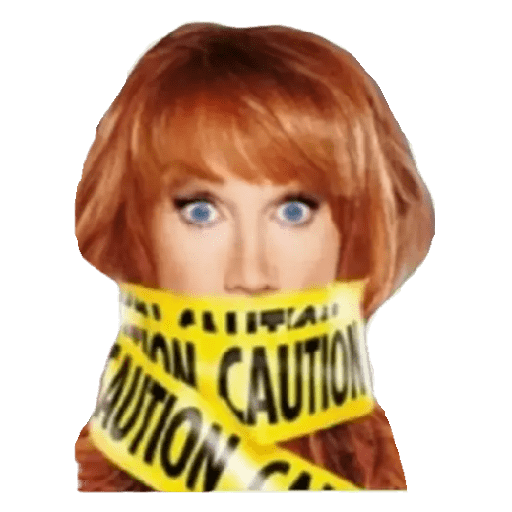 Kathy  Griffin 8