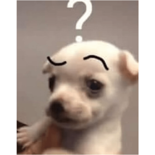 Perritos 4 9