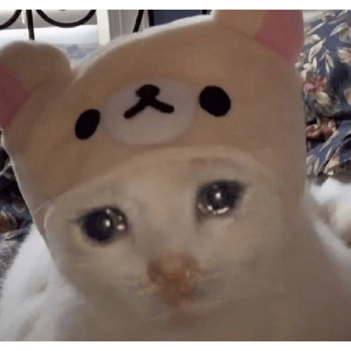 Kucing sad 4