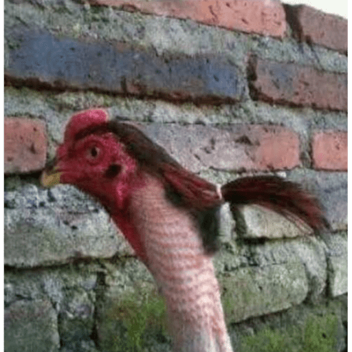 Mamá huevo  3