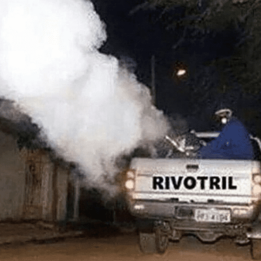 Divertidamente 7