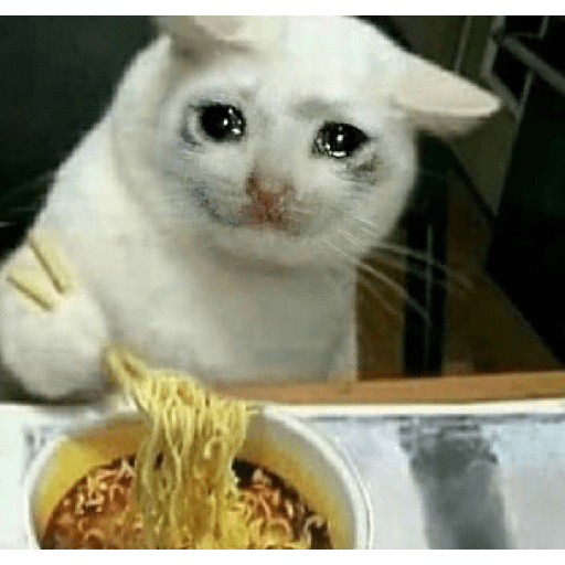 Kucing sad 5