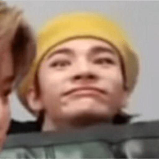 Stray kids.29 12
