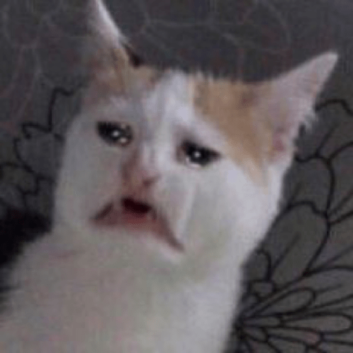 Kucing sad 3