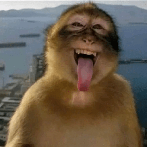 Macacos 🐵ᩧ 7