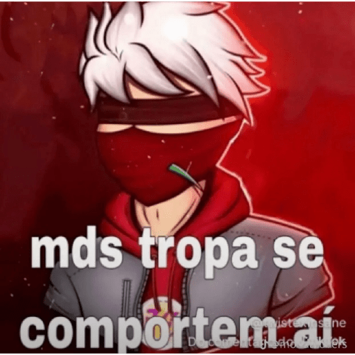 Novos 6