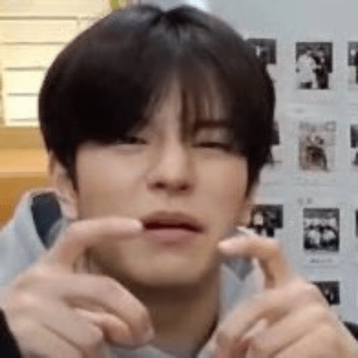Stray kids.29 22