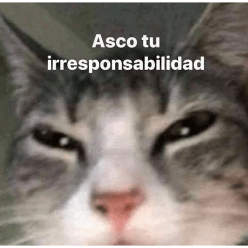 Randoms sin contexto    😔🫸 12