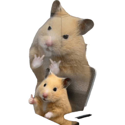 Mis pegatinas 3 🐹