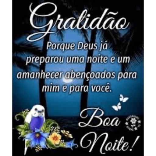 Boa noite 14
