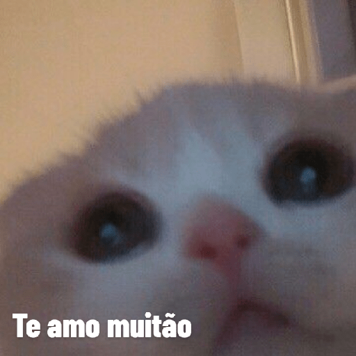 Toma banho prr 3