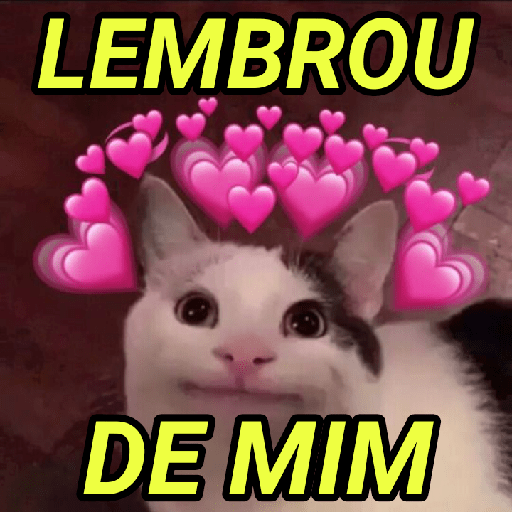 CASAL 10/10 11