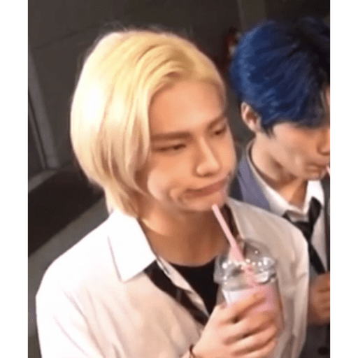 Stray kids.29 9