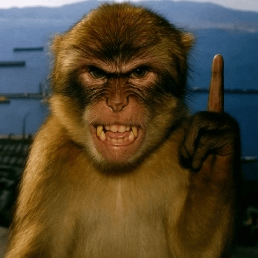 Macacos 🐵ᩧ 1