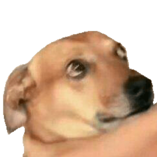 Perritos 4 4